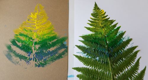 Fern Print