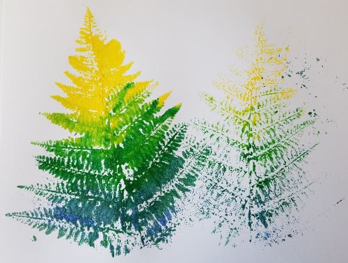 Fern First Print