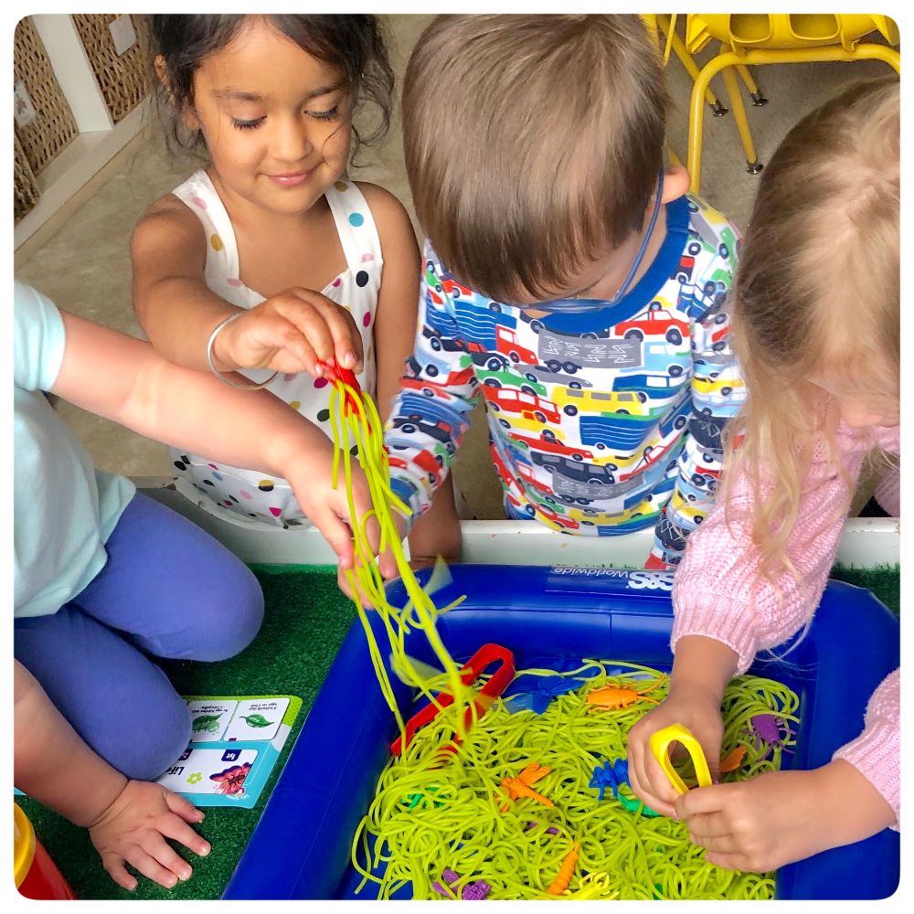 Creepy Crawly Sensory Bin – Exploring Bugs With Kids