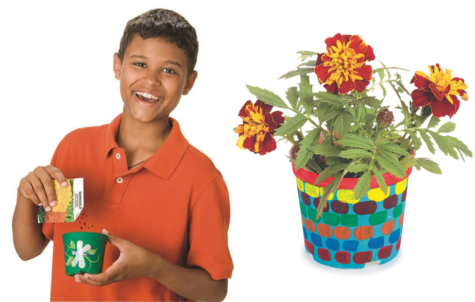 Marigold Flower Garden – Educational Craft Kit for Spring
