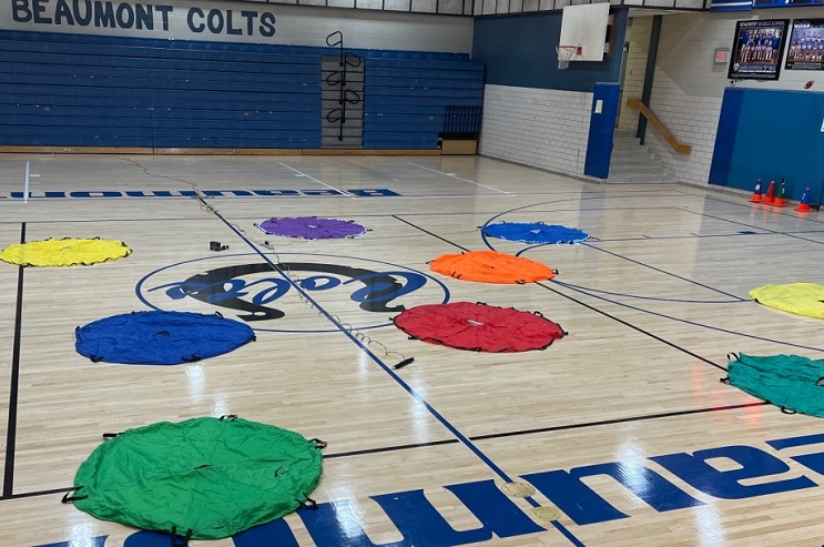 Topgolf Activity for Physical Education