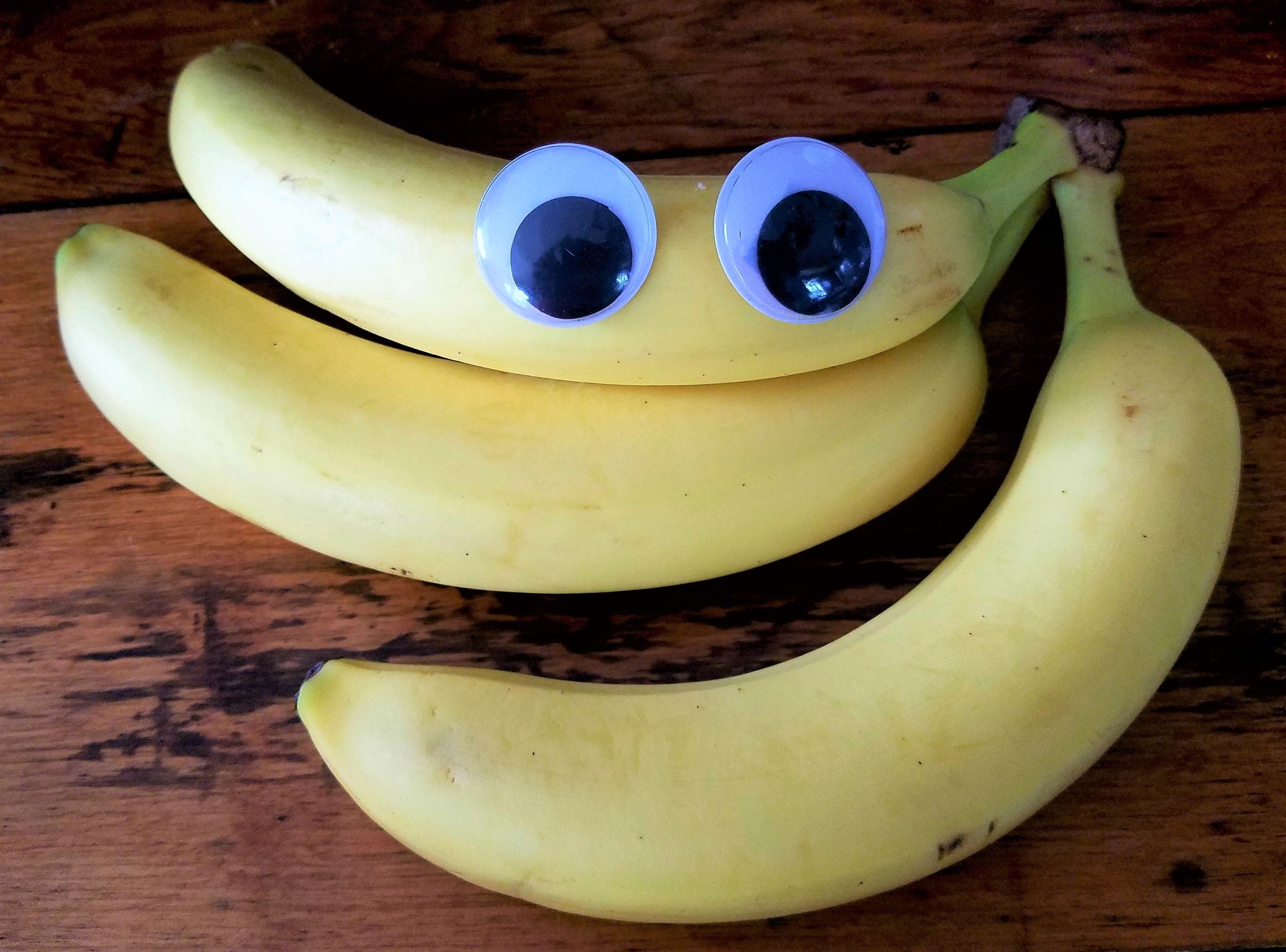 24 Ways to Get Creative with Wiggly Eyes – Ideas by Crafty Kate