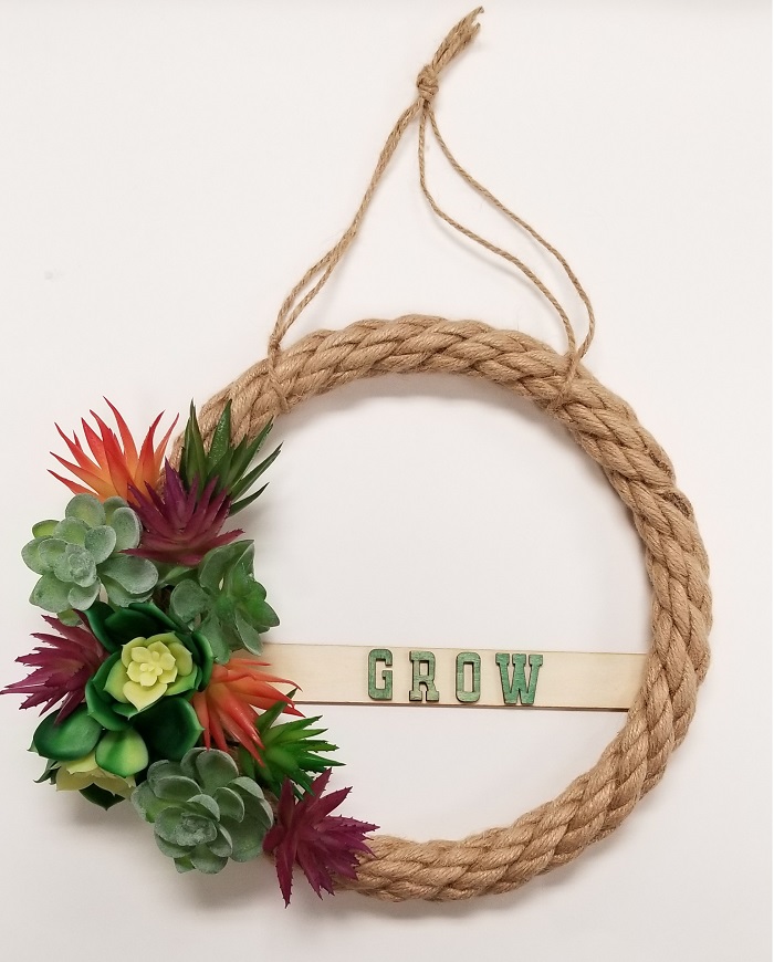 air plant decoration