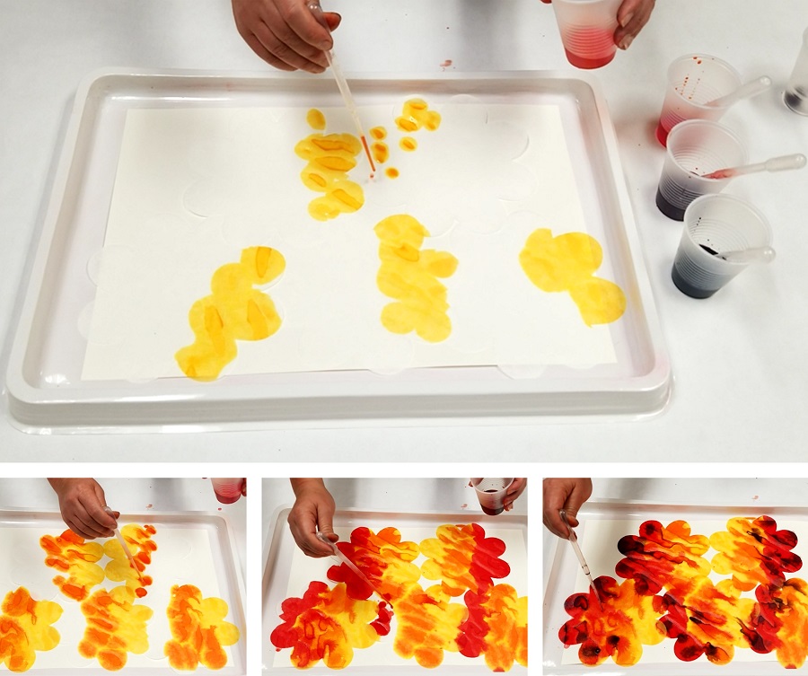 color diffusing paper flowers