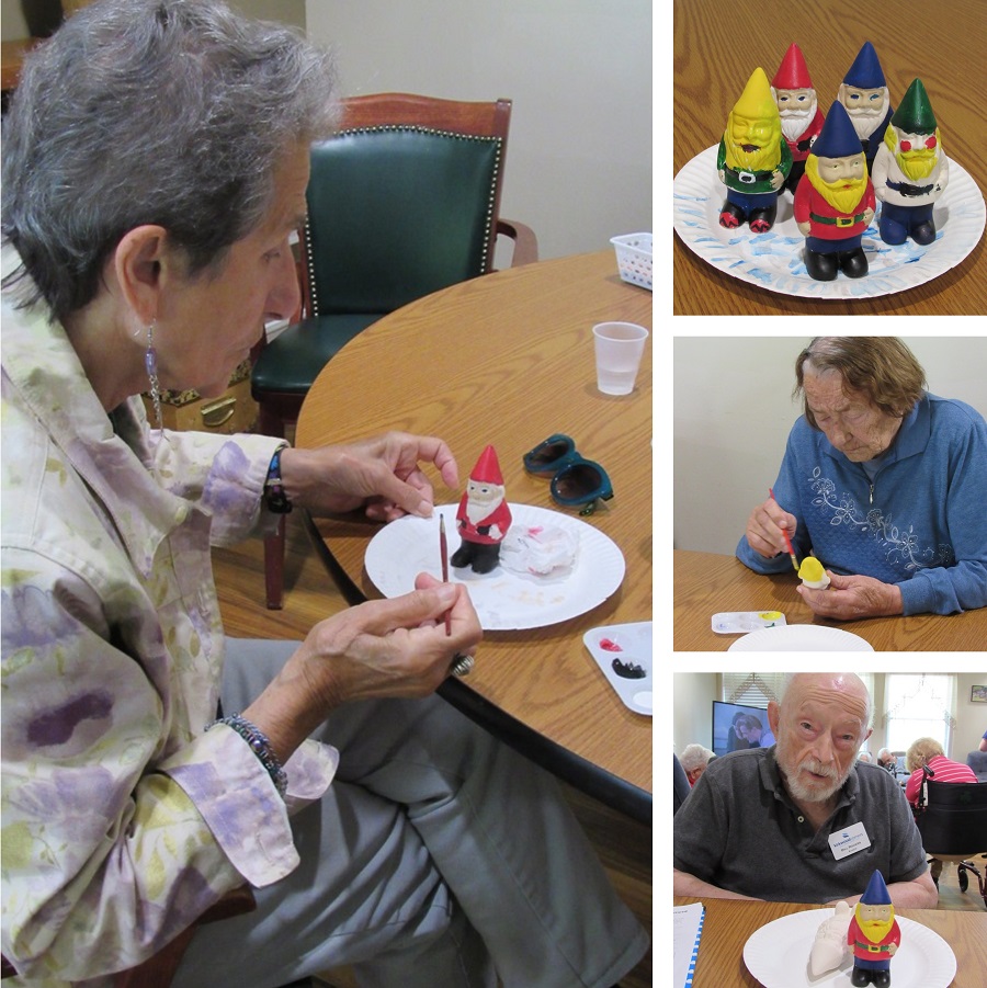 craft gnome seniors