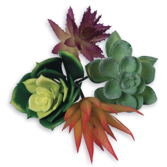 diy succulent crafts
