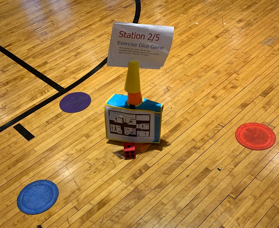 Exercise Dice Game – Using Task Cards & Literacy Strategies in PE