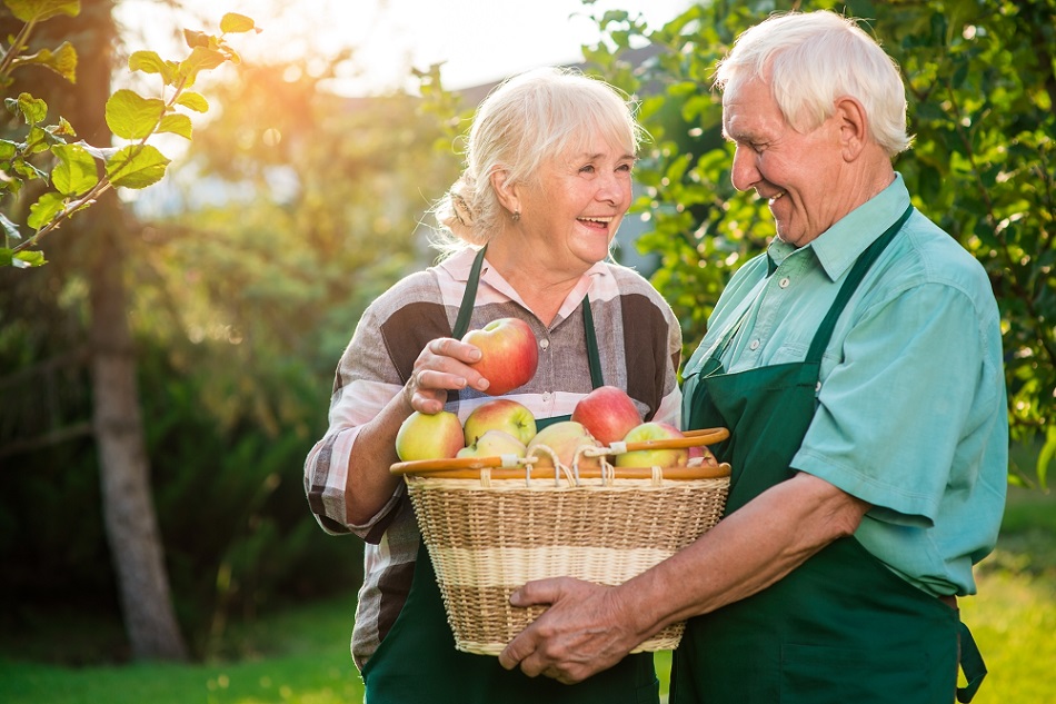 Fall Ideas to Add to Your Senior Activity Calendars