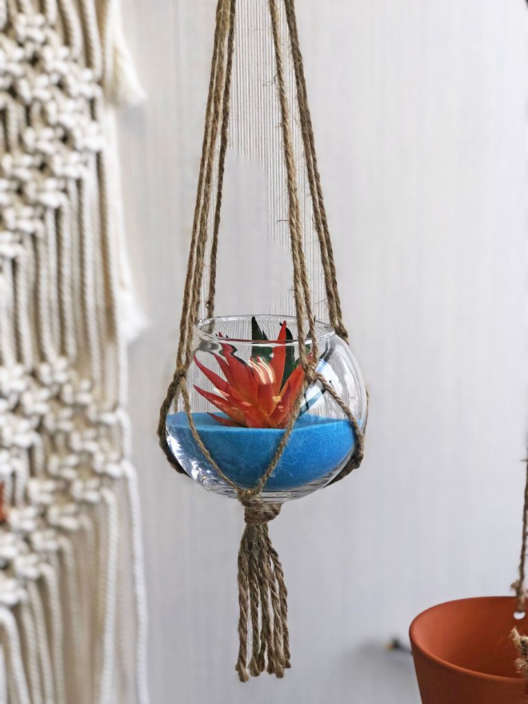 hanging glass air plant