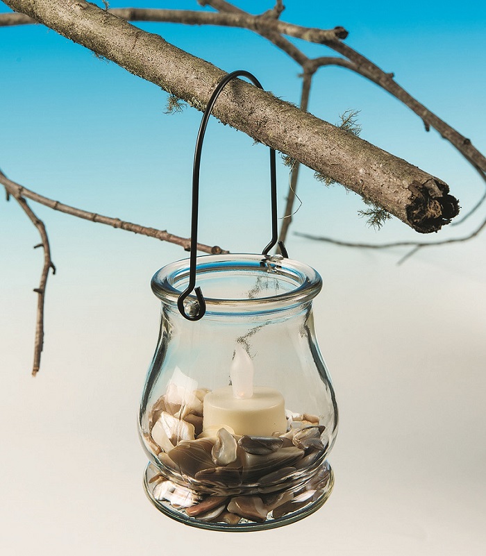 hanging jar for plants