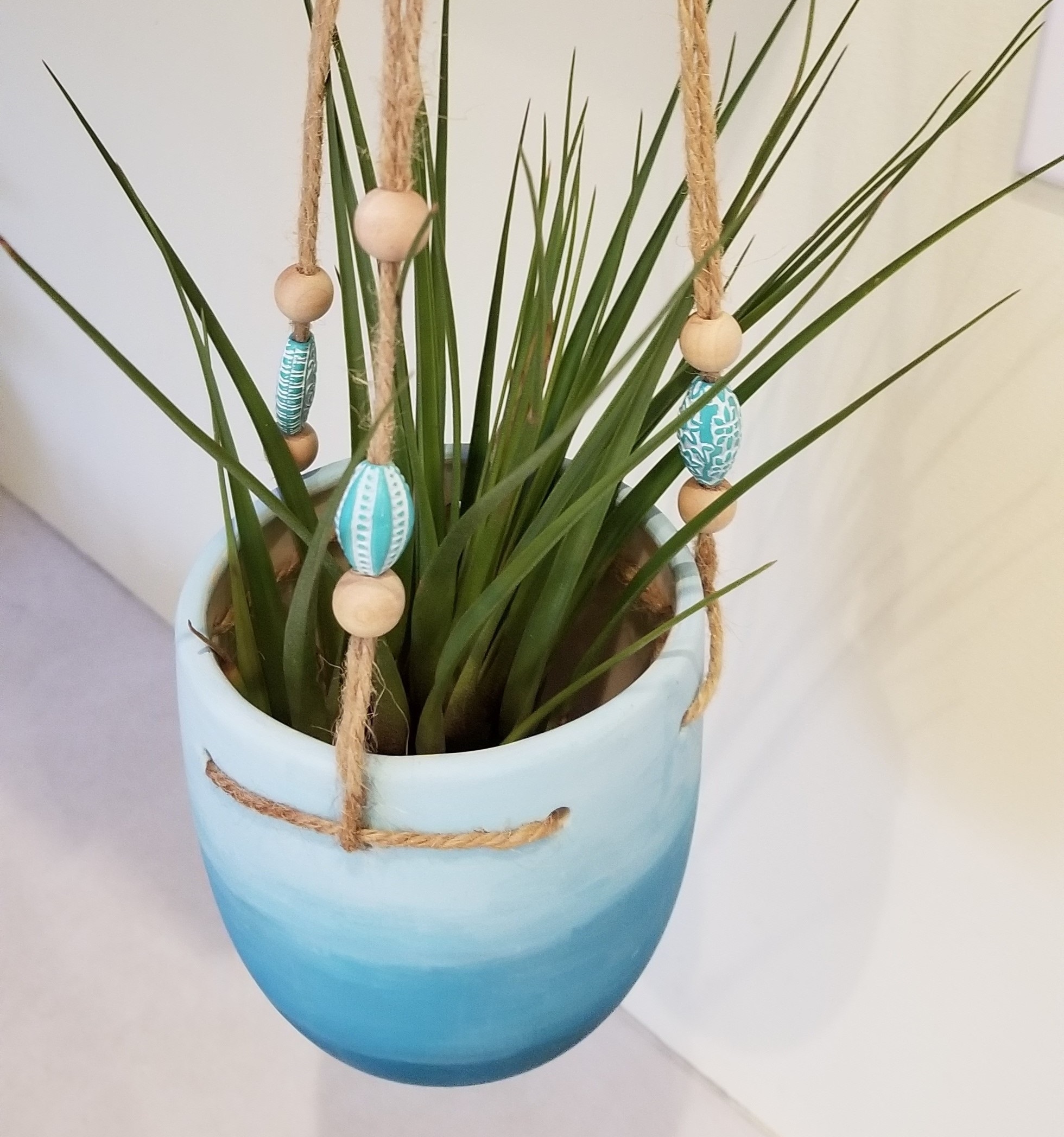 DIY Succulent Crafts, Hanging Plants & Air Gardens