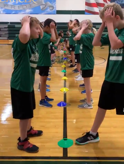 Heads, Shoulders, Knees & Cone Activity for PE