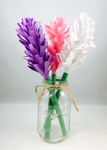 hyacinth6