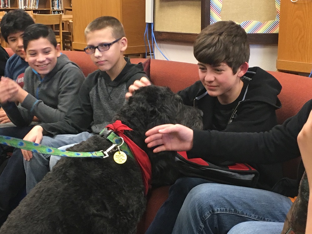 Media Center Activity – Therapy Dog for Students
