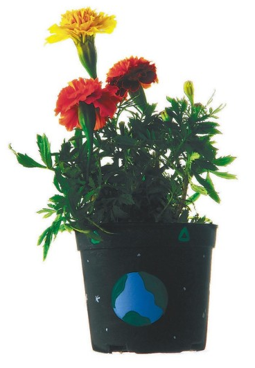flower garden kit