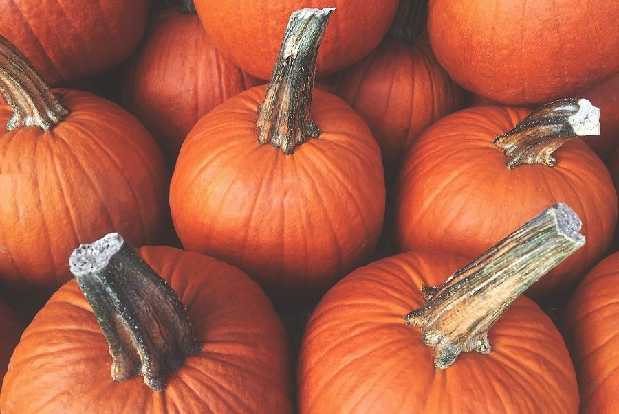Pumpkin Themed Ideas For Your Senior Living Facility