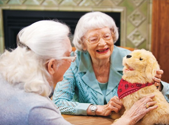 How to Start a Faux Pet Therapy Program in Your Senior Facility