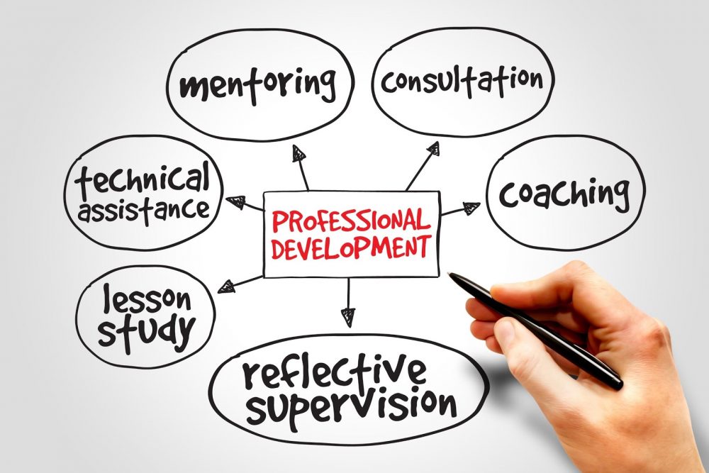 The Importance of Professional Development