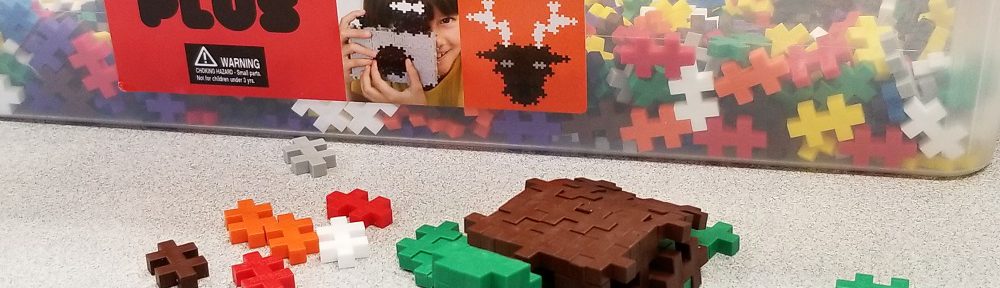 sea turtle makerspace