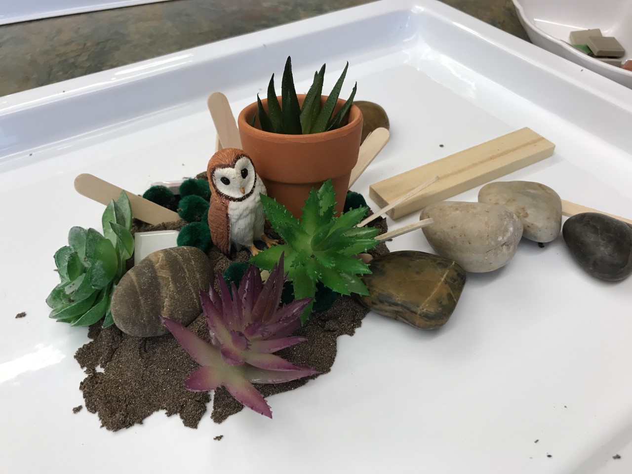 Sensory Tray Activity for Cognitive Skill Building – Reflection Pool