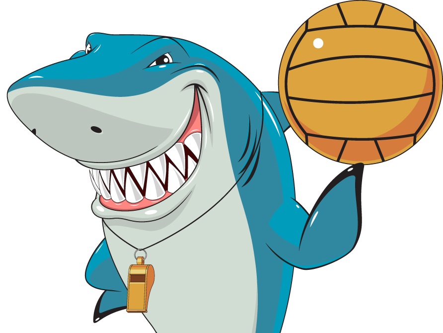 Physical Activity Ideas for Shark Week
