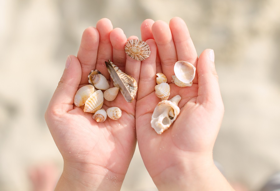 12 Seashell Crafts & Projects For Kids’ Summer Programs