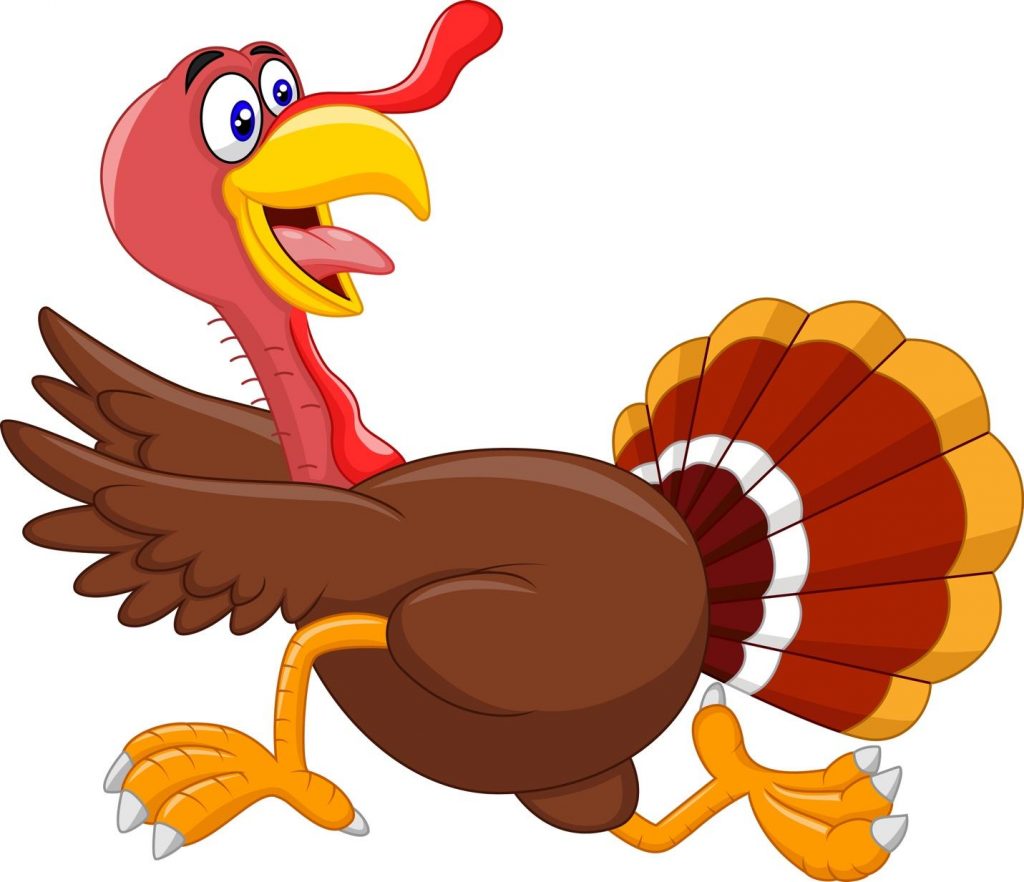 turkey