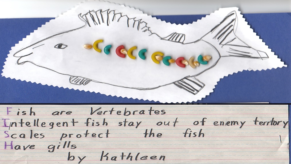Macaroni & Corn Kernel Art For Learning Punctuation