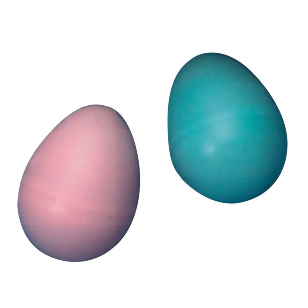 Egg Shakers Musical Rhythm Instruments (Set of 2)